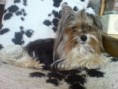 /album/gina%20von%20bodo%c5%9b%20kumpels/kylie-011-jpg/